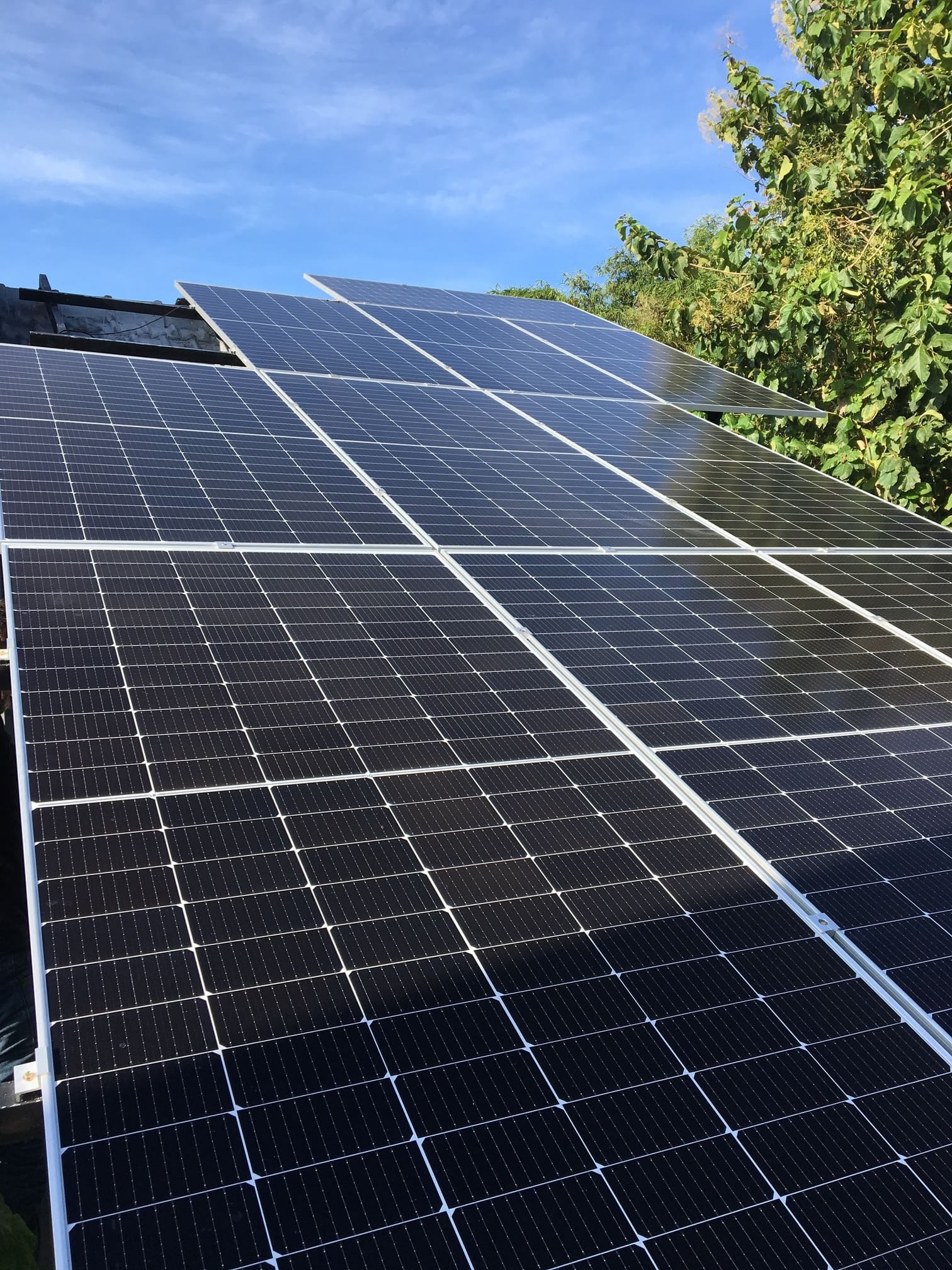Clean installation of solar panels against a blue sky with trees